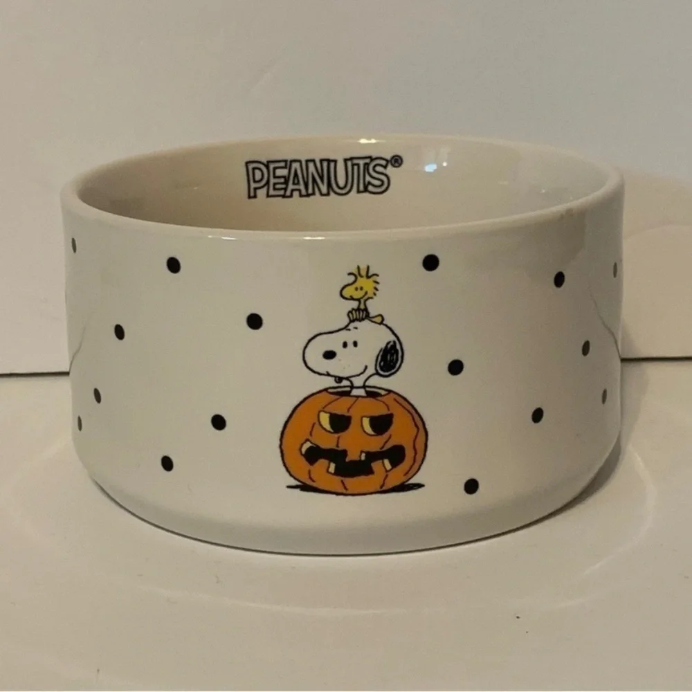 NWT. RAE DUNN X PEANUTS Snoopy Candy Bowl/Pet Dish